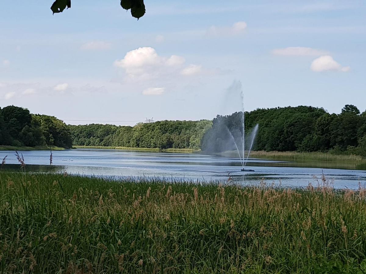 Апартаменты In Ostseenaehe